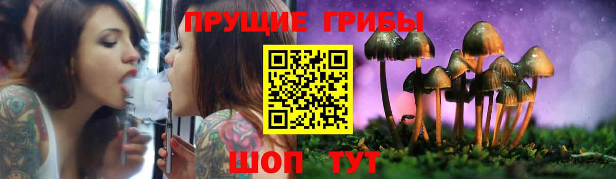 Новокубанск  Галлюциногенные грибы мухоморы  Вход с VPN 